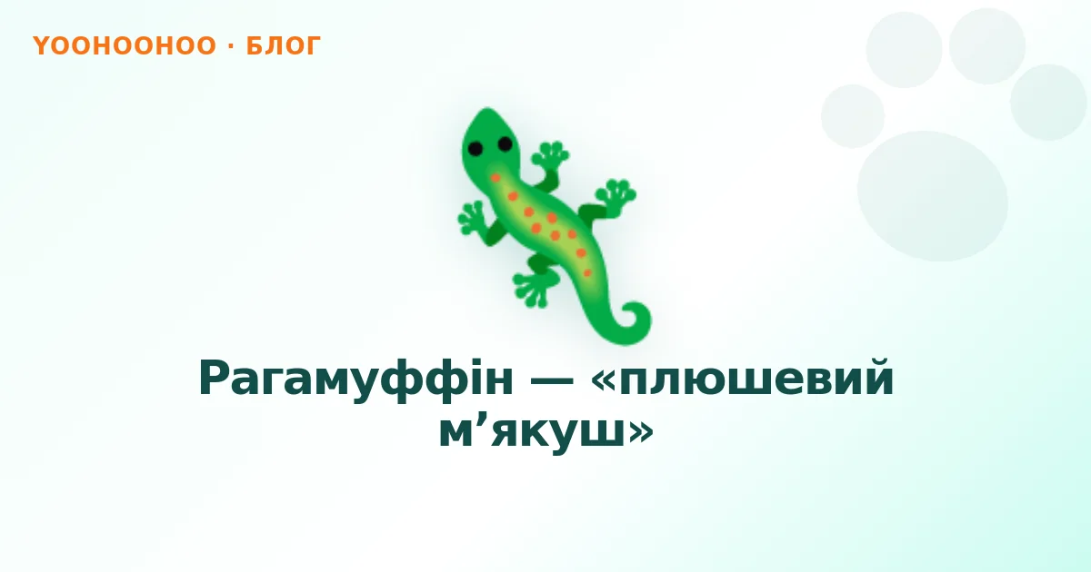 Рагамуффін — «плюшевий м’якуш»