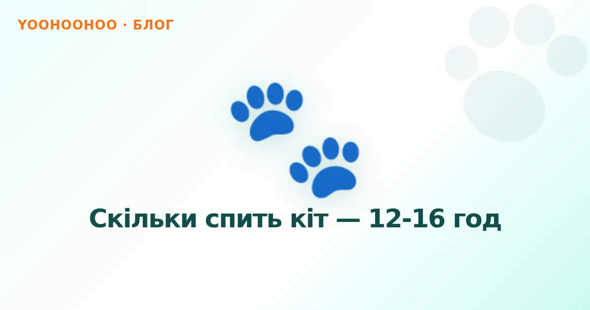Скільки спить кіт — 12-16 год