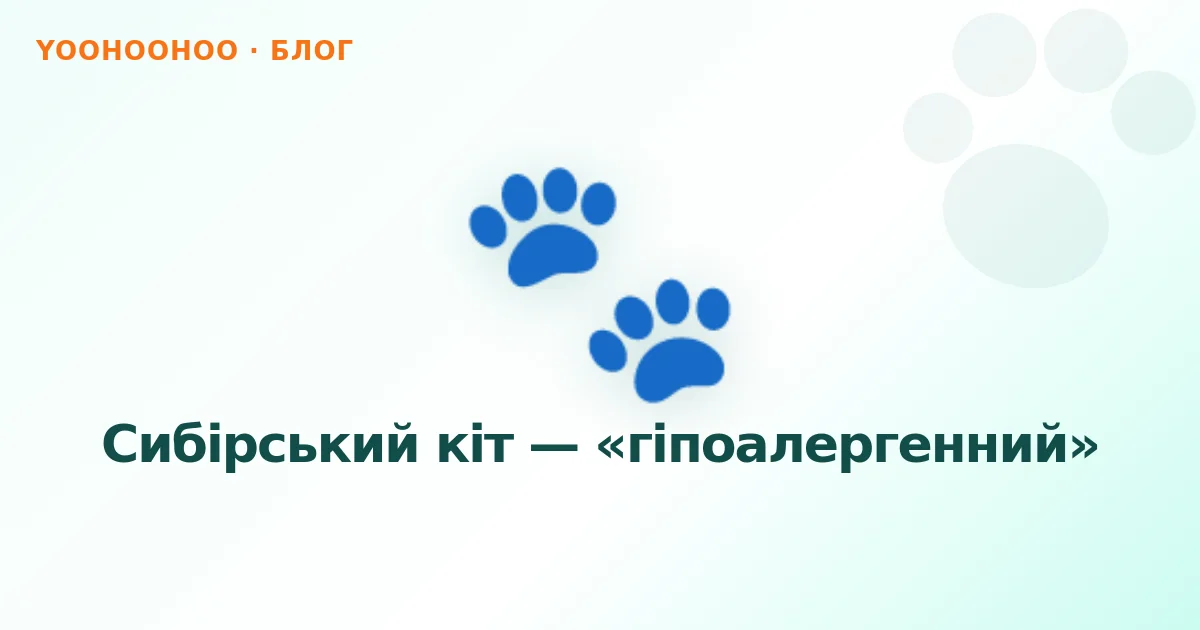 Сибірський кіт — «гіпоалергенний»