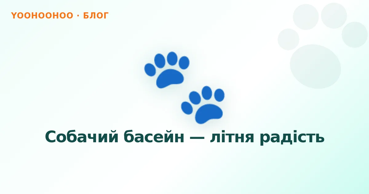Собачий басейн — літня радість