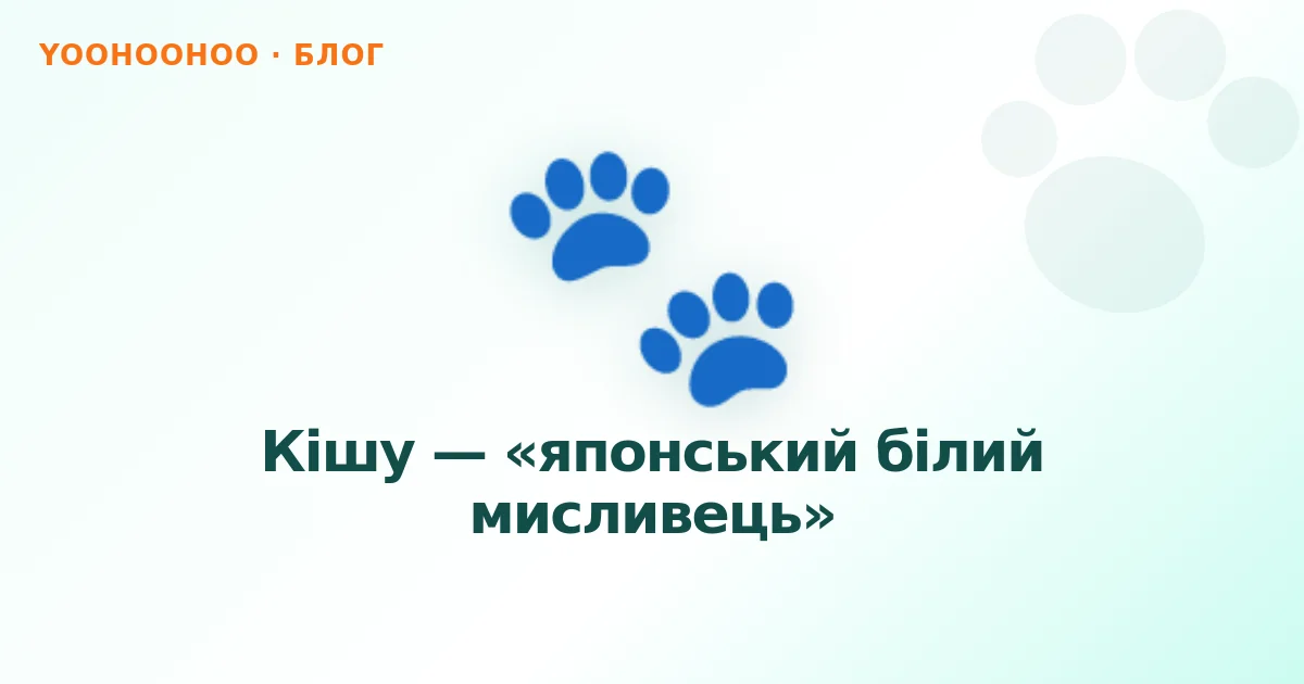 Кішу — «японський білий мисливець»