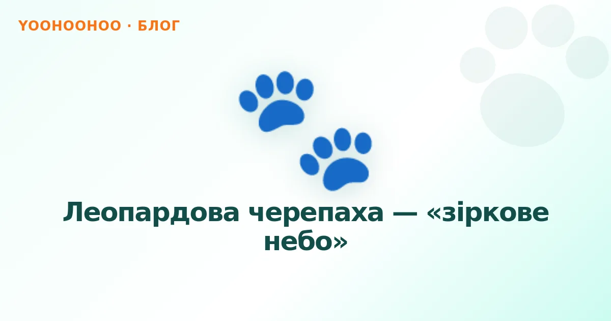 Леопардова черепаха — «зіркове небо»