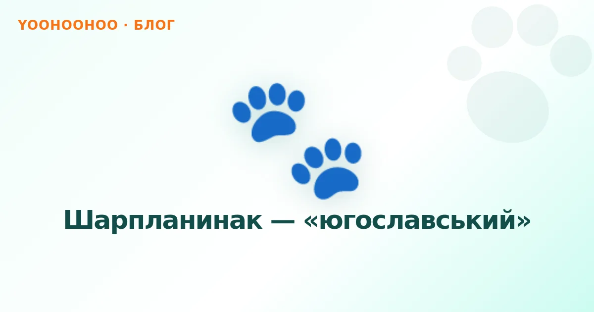 Шарпланинак — «югославський»
