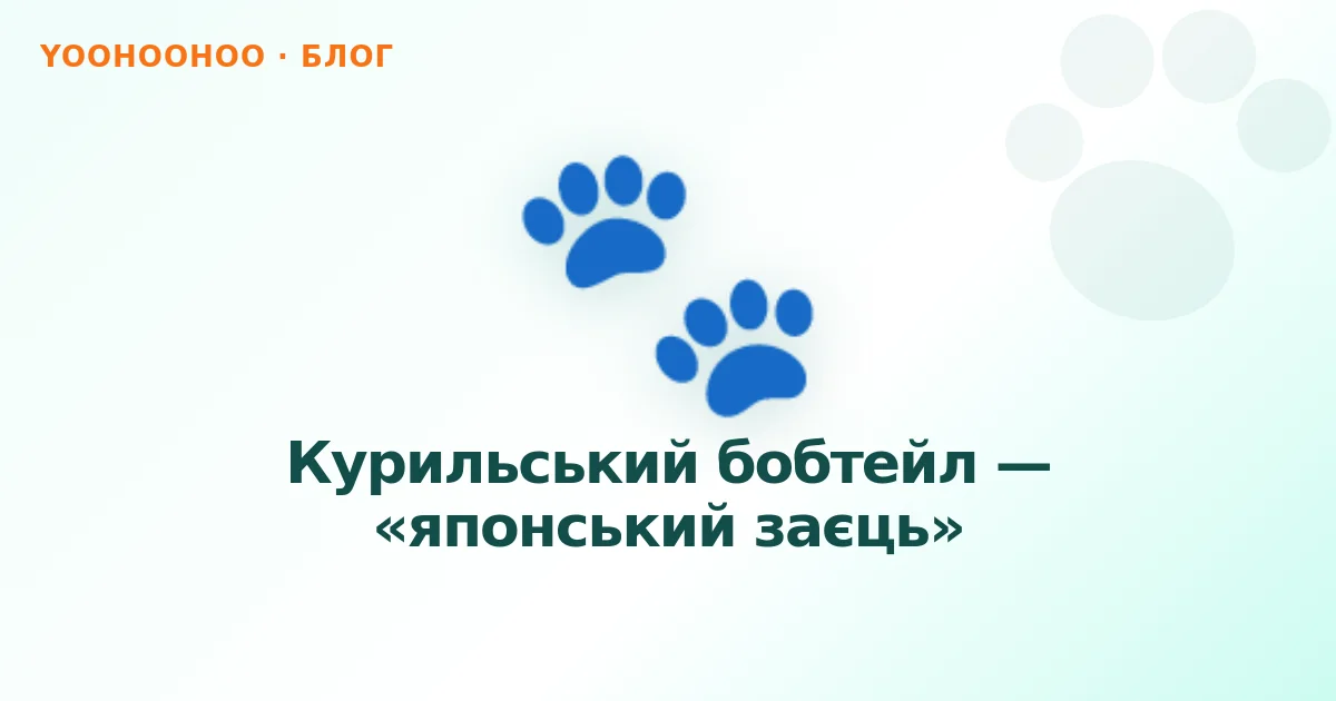 Курильський бобтейл — «японський заєць»