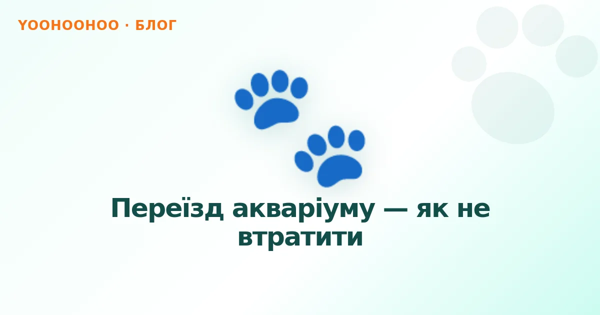Переїзд акваріуму — як не втратити