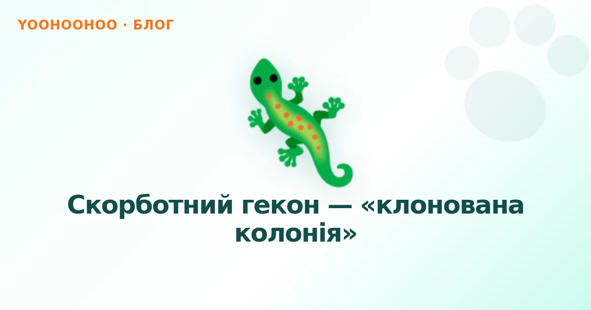 Скорботний гекон — «клонована колонія»