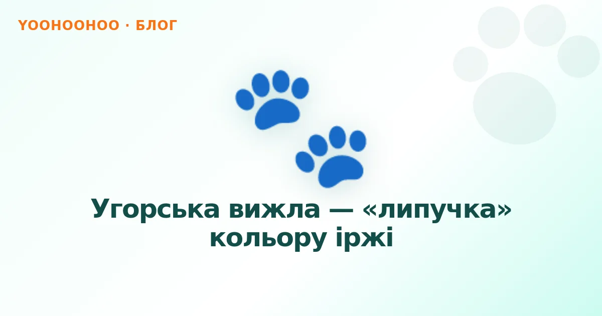 Угорська вижла — «липучка» кольору іржі