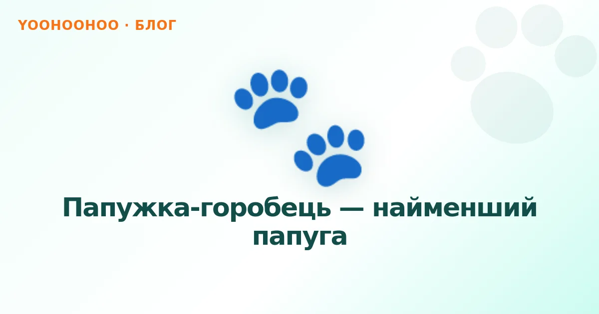Папужка-горобець — найменший папуга