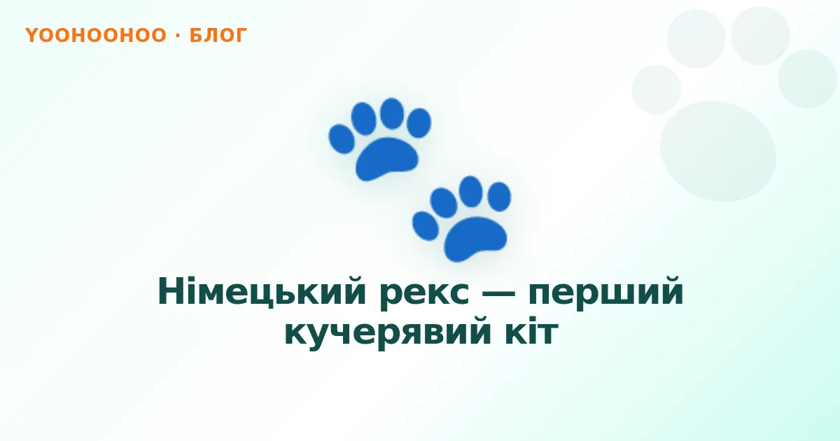 Німецький рекс — перший кучерявий кіт