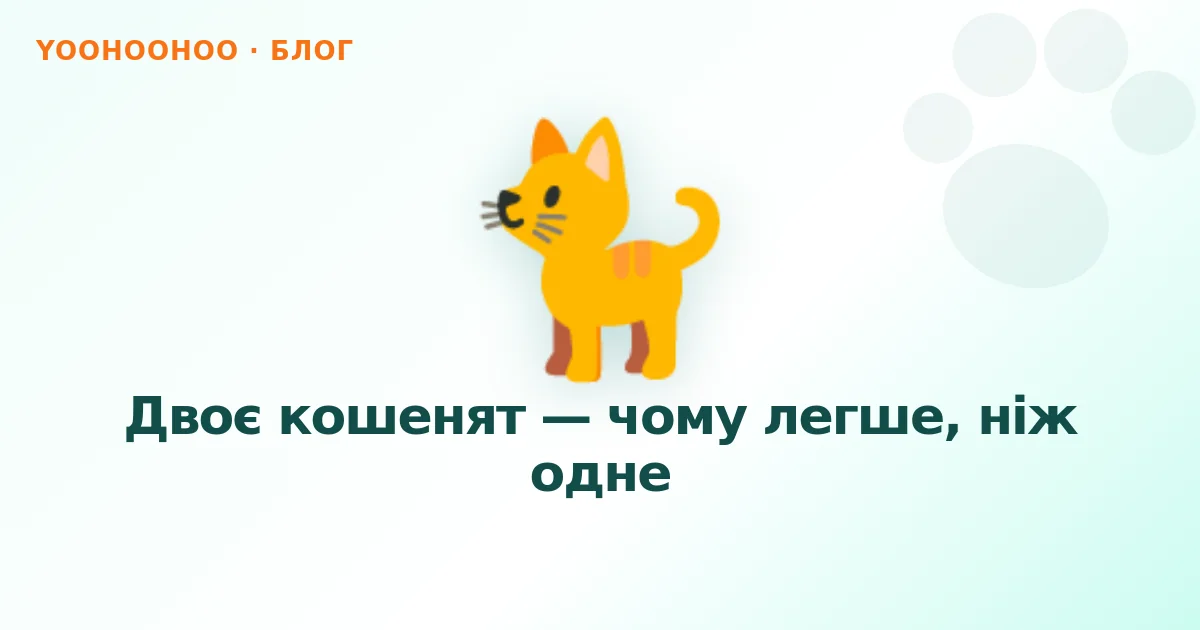 Двоє кошенят — чому легше, ніж одне