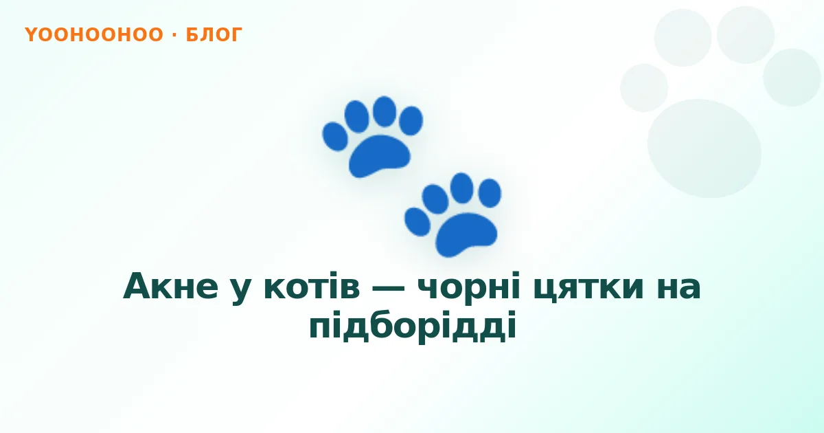 Акне у котів — чорні цятки на підборідді