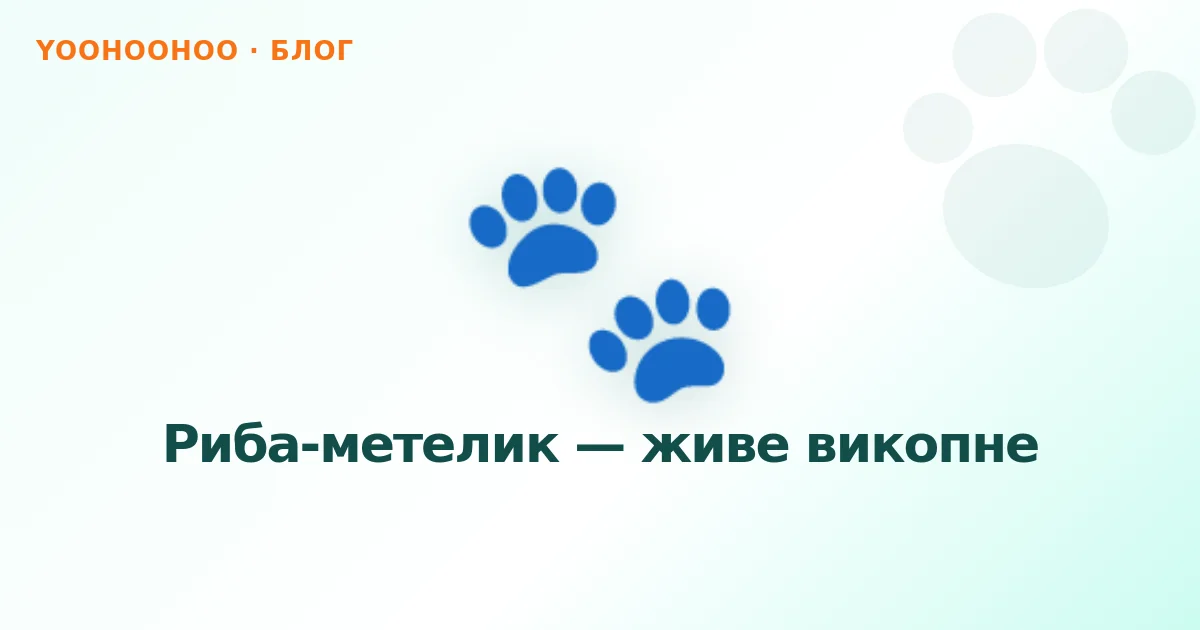 Риба-метелик — живе викопне