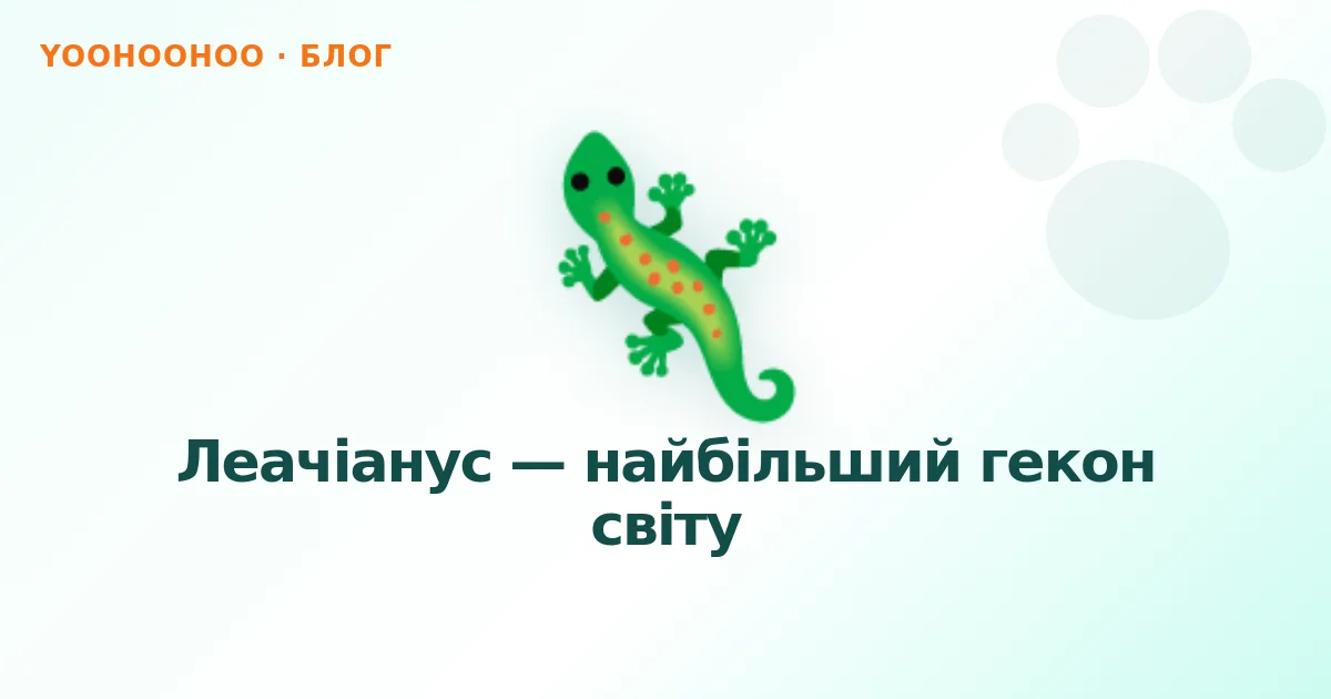 Леачіанус — найбільший гекон світу