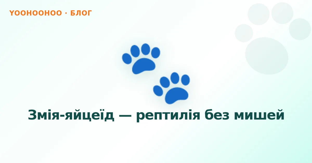 Змія-яйцеїд — рептилія без мишей