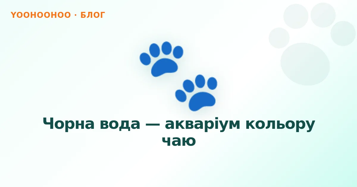 Чорна вода — акваріум кольору чаю