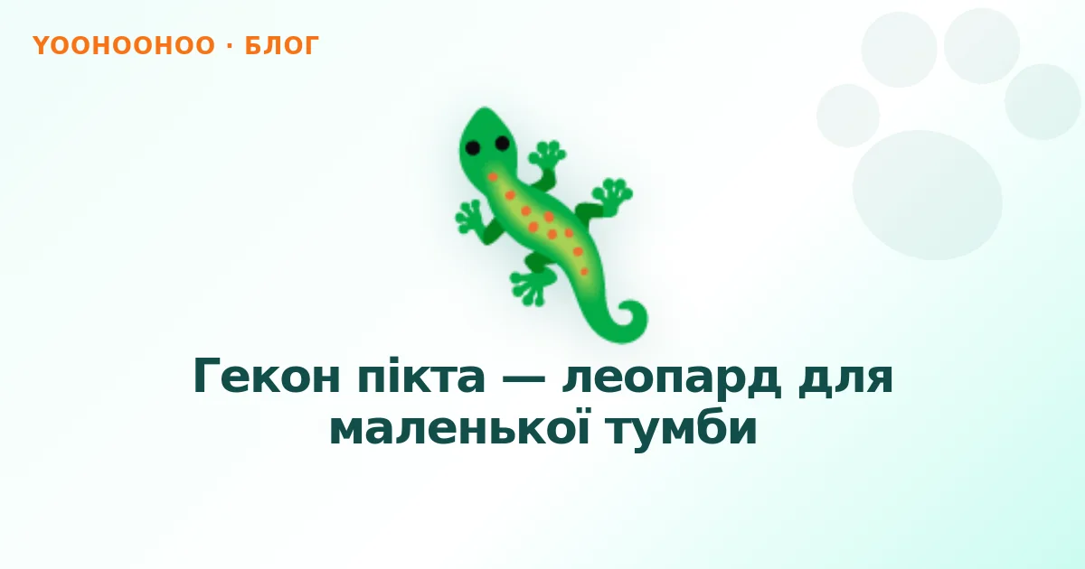 Гекон пікта — леопард для маленької тумби