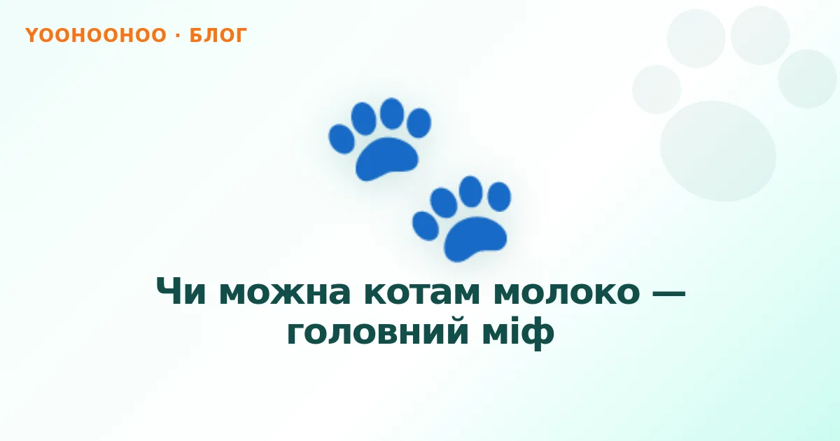 Чи можна котам молоко — головний міф