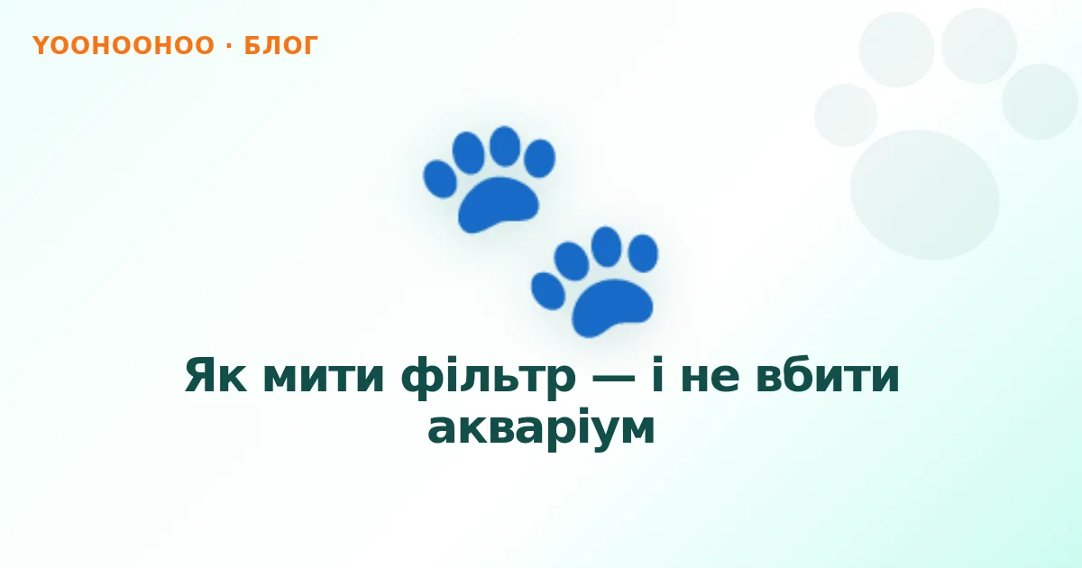Як мити фільтр — і не вбити акваріум