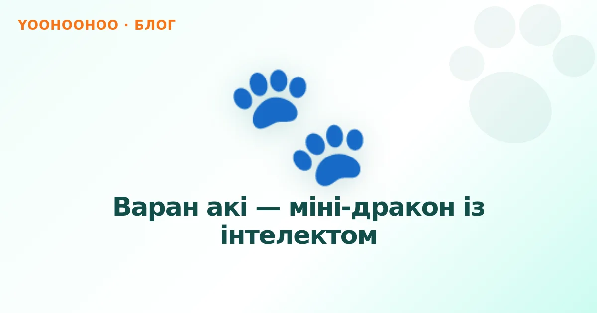 Варан акі — міні-дракон із інтелектом