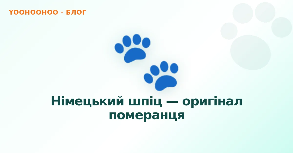 Німецький шпіц — оригінал померанця