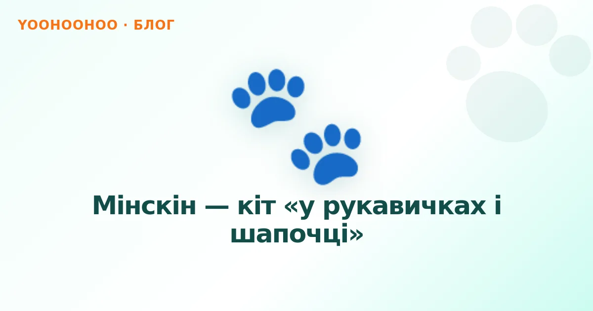 Мінскін — кіт «у рукавичках і шапочці»