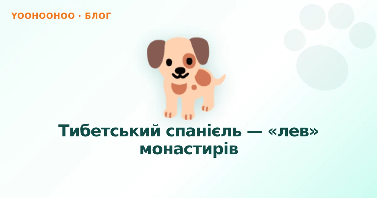Тибетський спанієль — «лев» монастирів