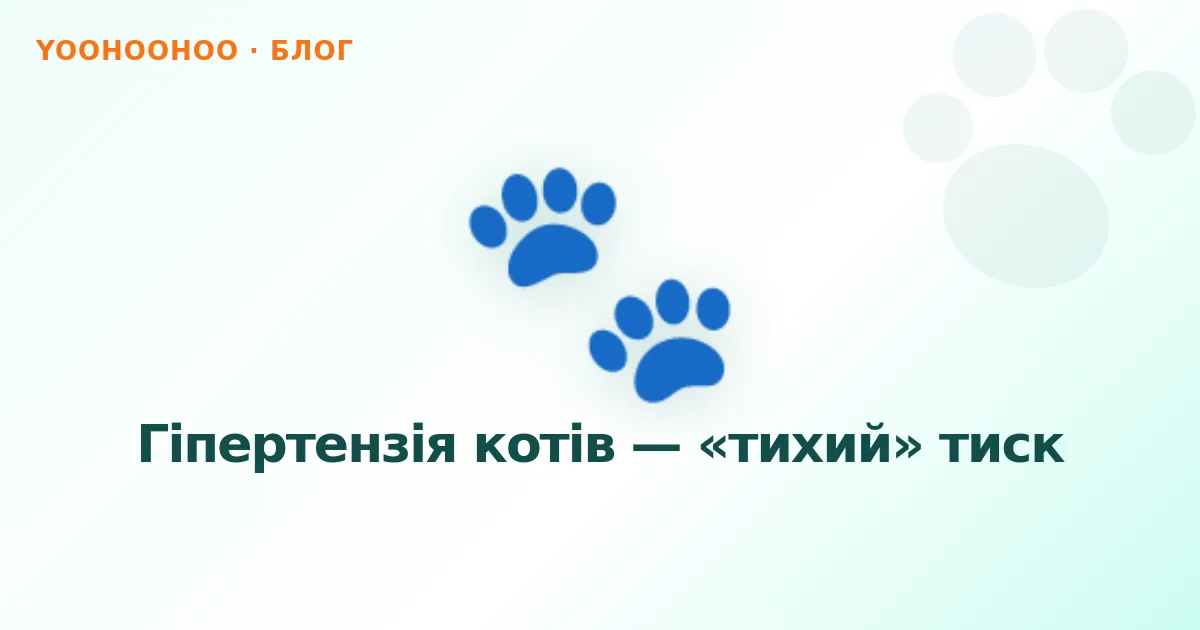 Гіпертензія котів — «тихий» тиск