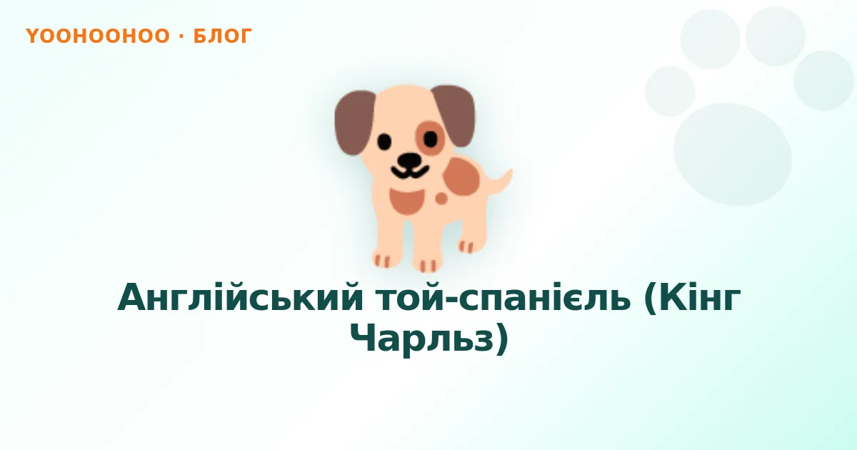 Англійський той-спанієль (Кінг Чарльз)