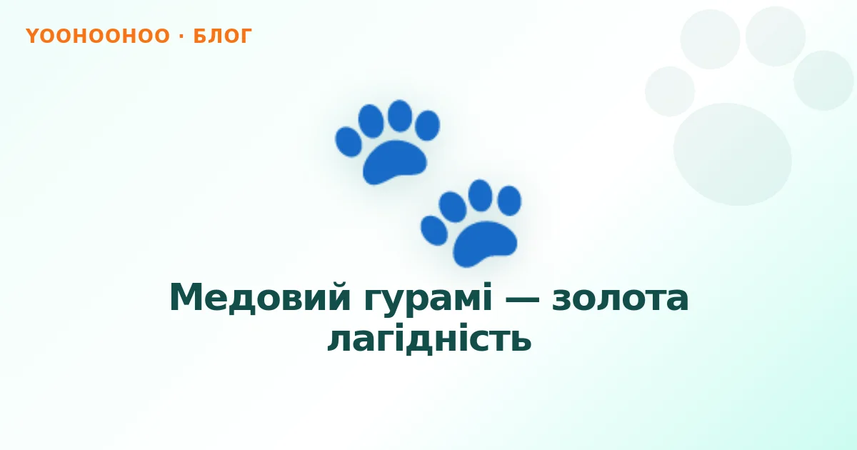 Медовий гурамі — золота лагідність