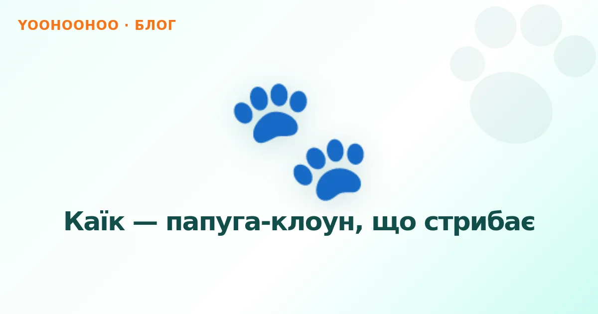 Каїк — папуга-клоун, що стрибає