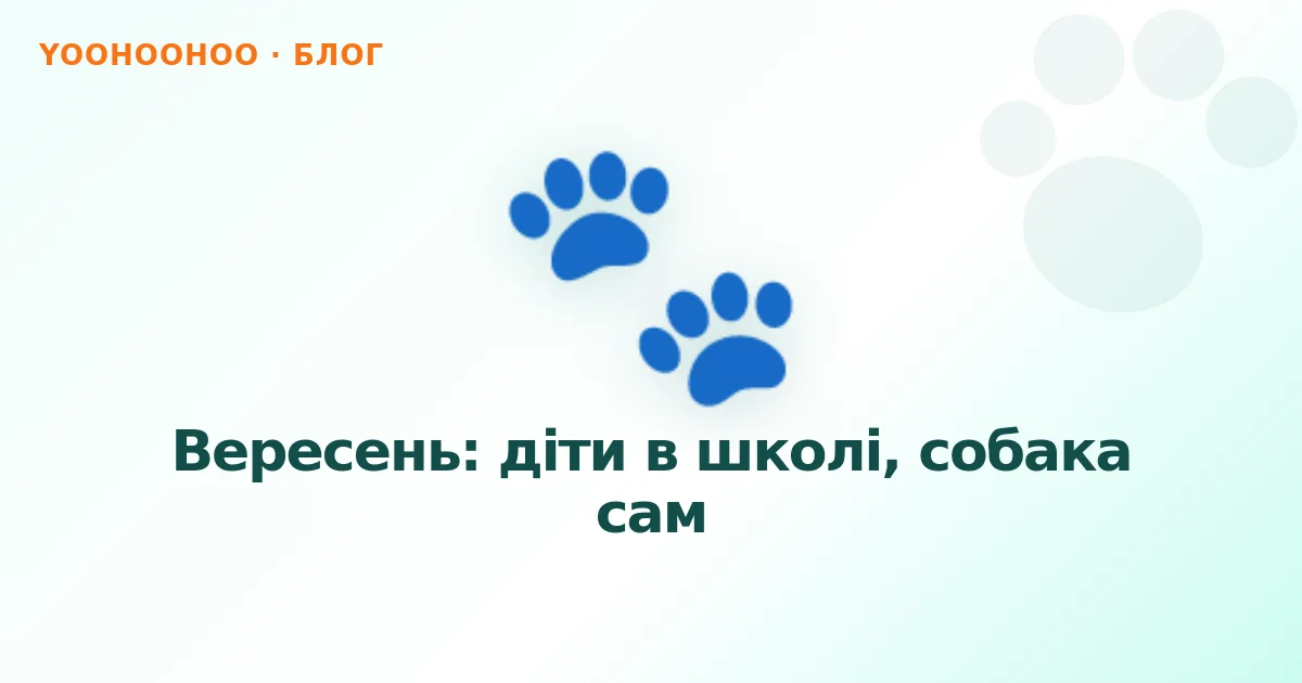Вересень: діти в школі, собака сам