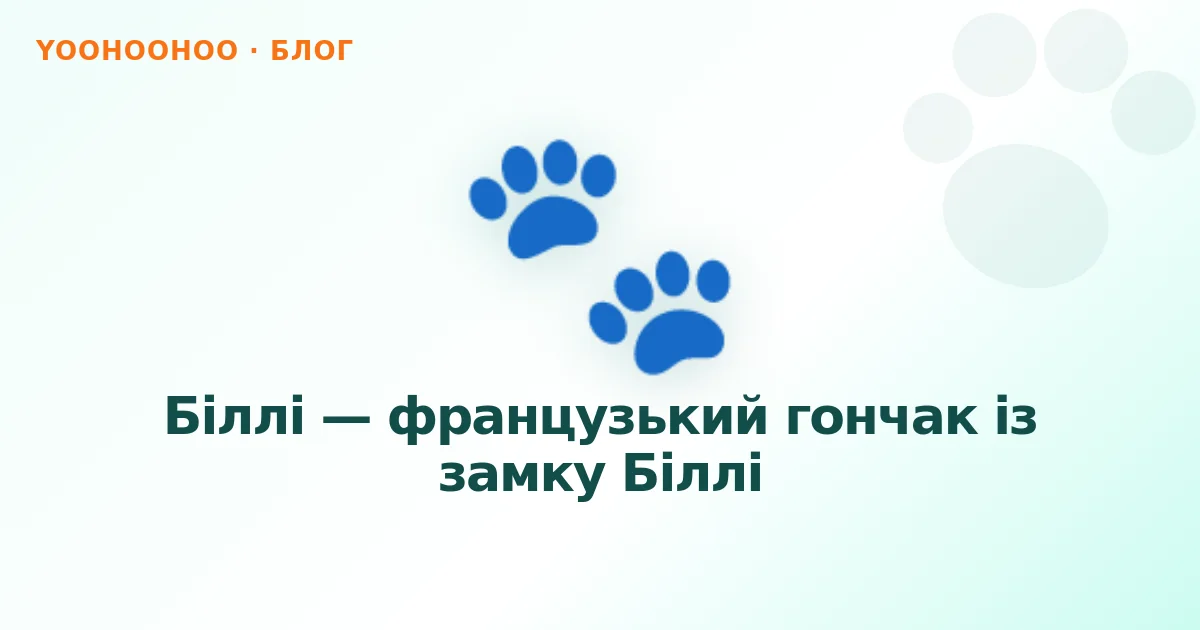 Біллі — французький гончак із замку Біллі