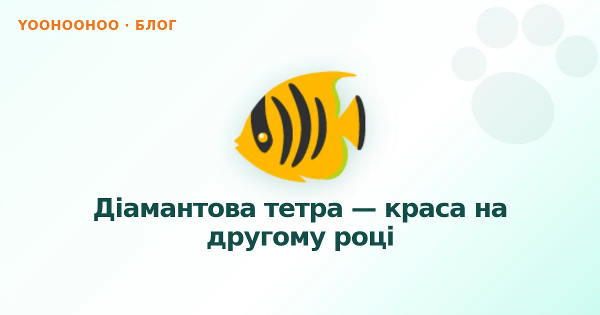 Діамантова тетра — краса на другому році