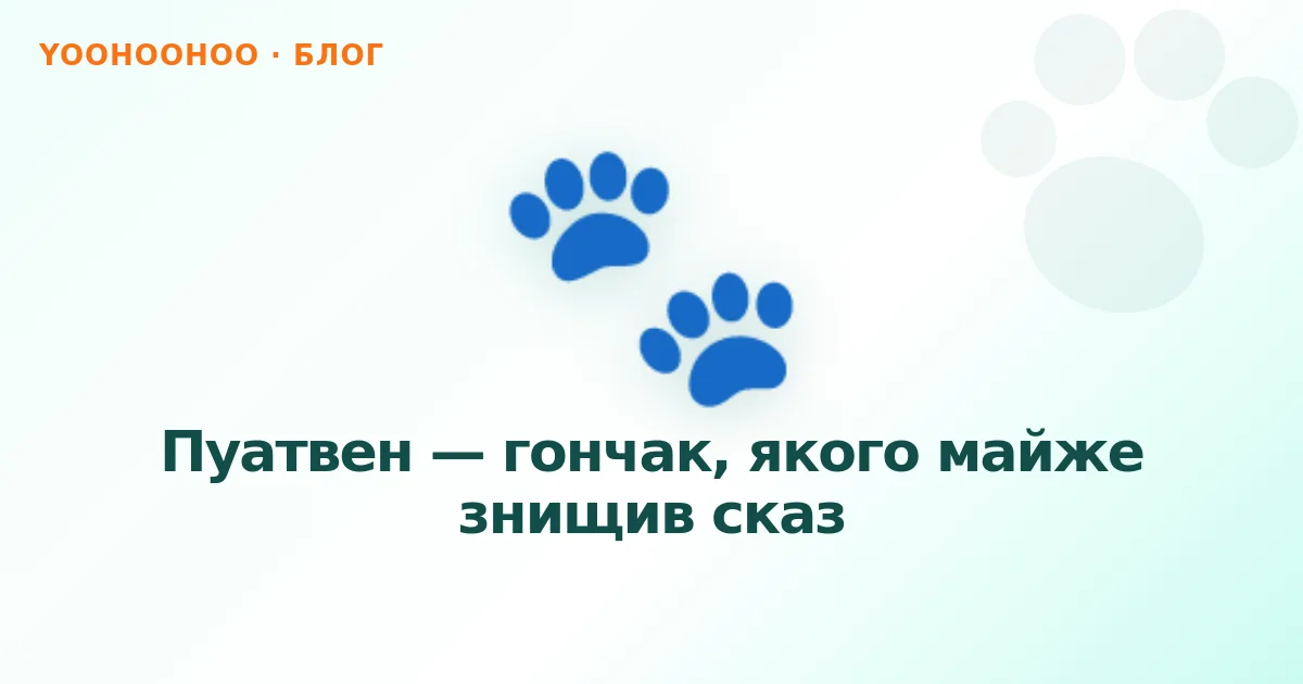 Пуатвен — гончак, якого майже знищив сказ