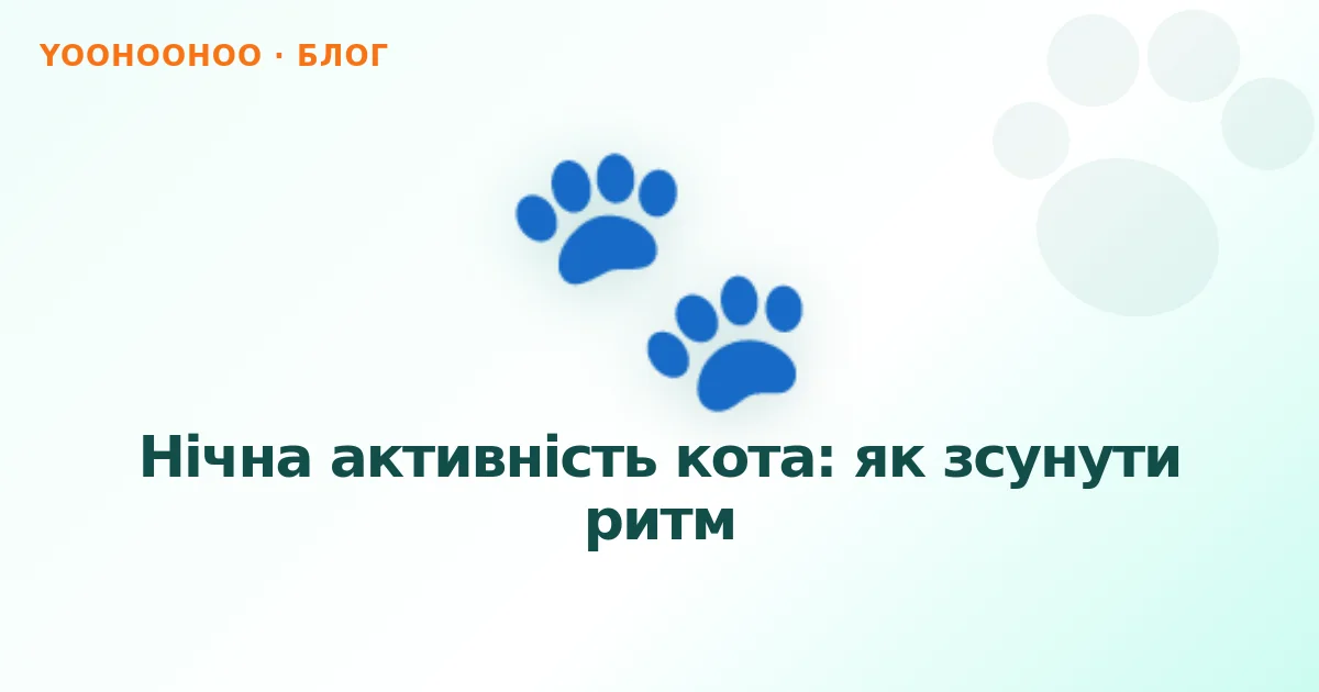 Нічна активність кота: як зсунути ритм