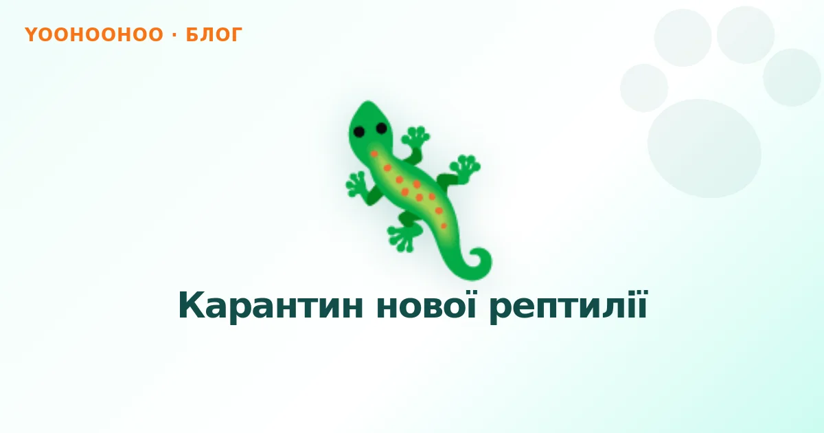 Карантин нової рептилії