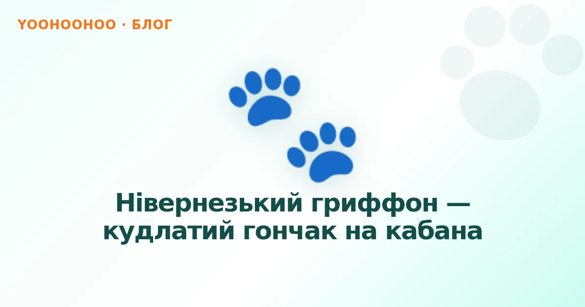 Нівернезький гриффон — кудлатий гончак на кабана