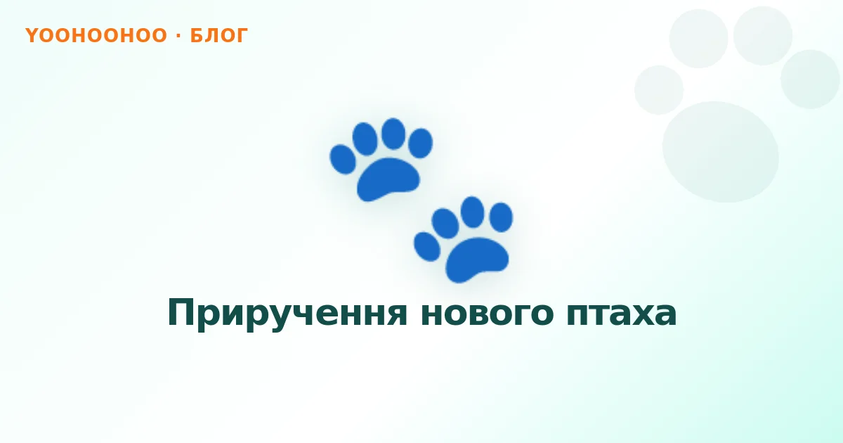 Приручення нового птаха