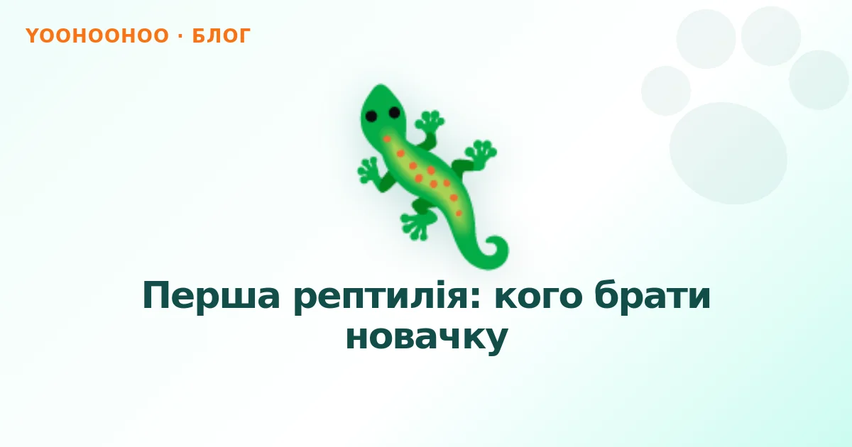 Перша рептилія: кого брати новачку
