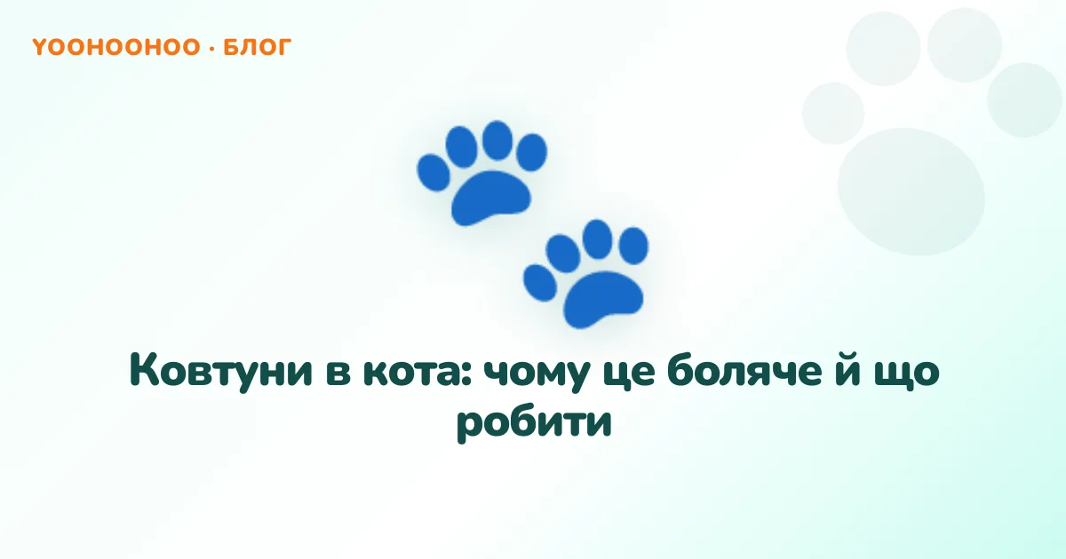 Ковтуни в кота: чому це боляче й що робити