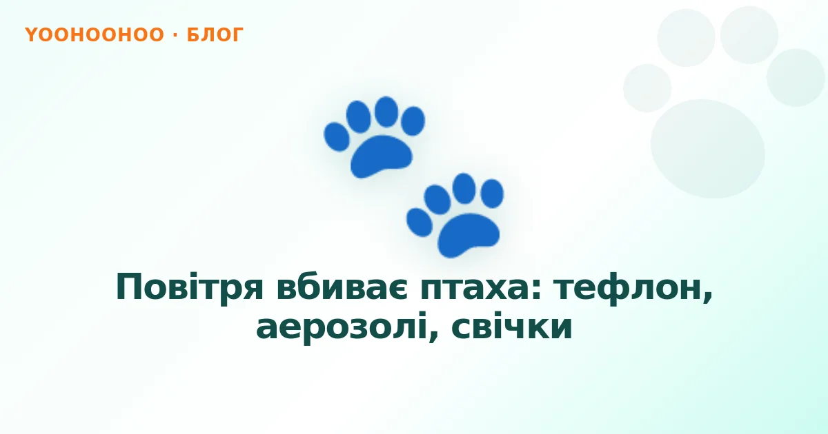 Повітря вбиває птаха: тефлон, аерозолі, свічки
