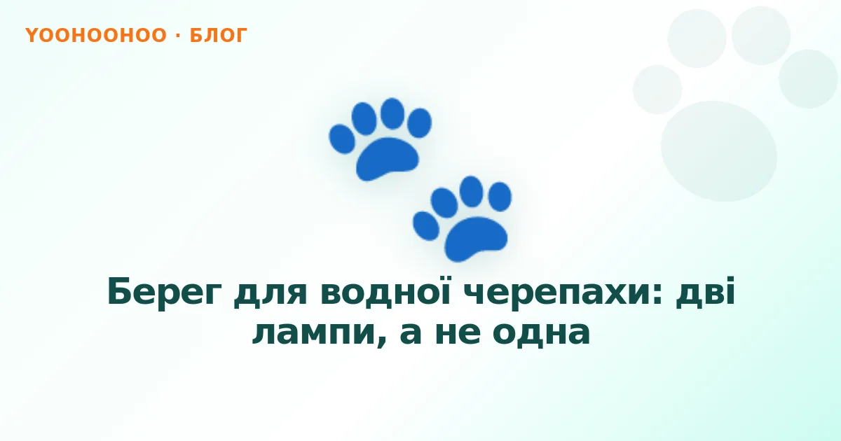 Берег для водної черепахи: дві лампи, а не одна