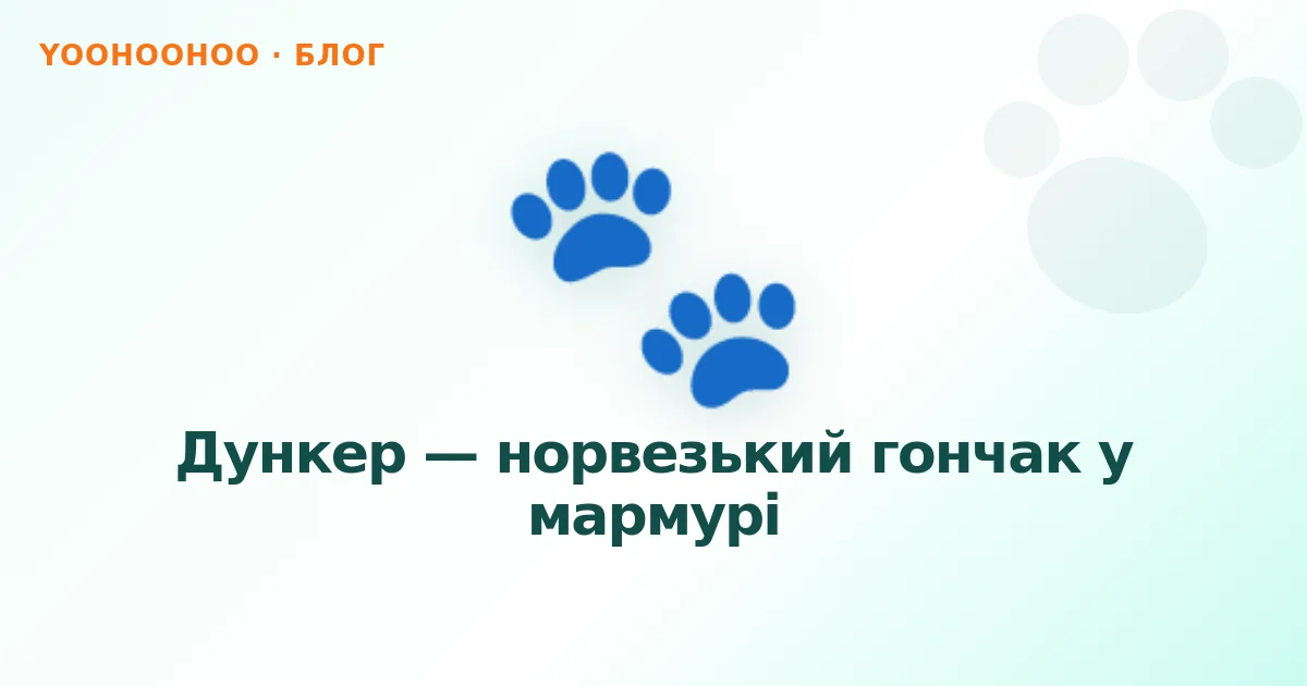 Дункер — норвезький гончак у мармурі