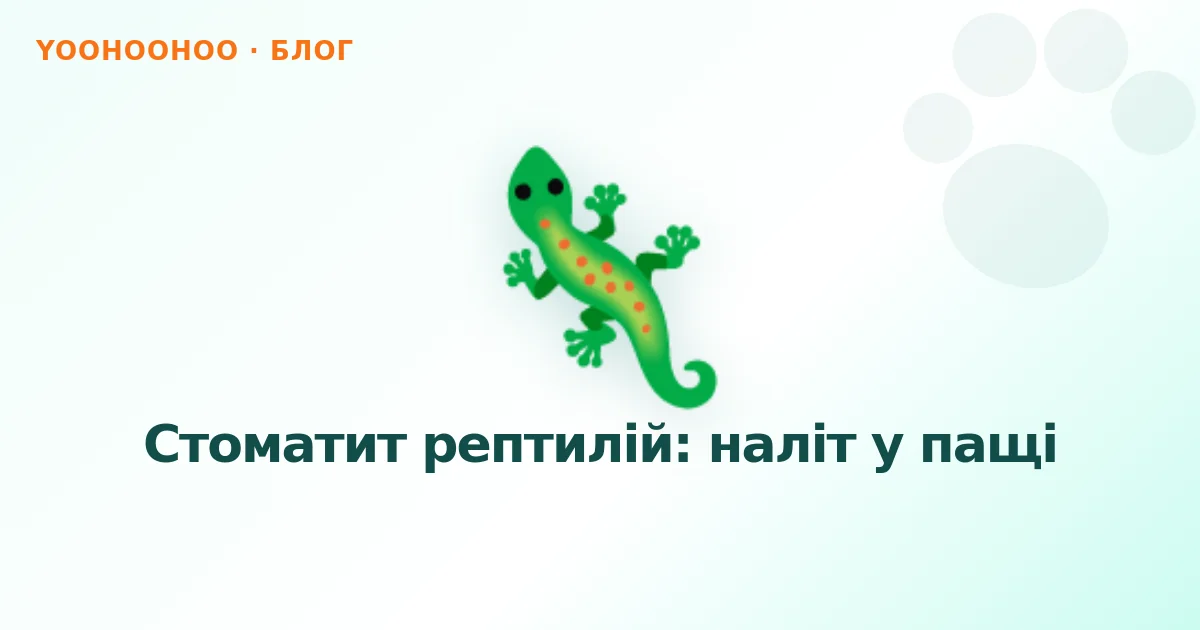 Стоматит рептилій: наліт у пащі