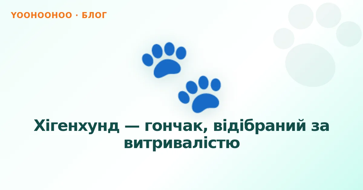 Хігенхунд — гончак, відібраний за витривалістю