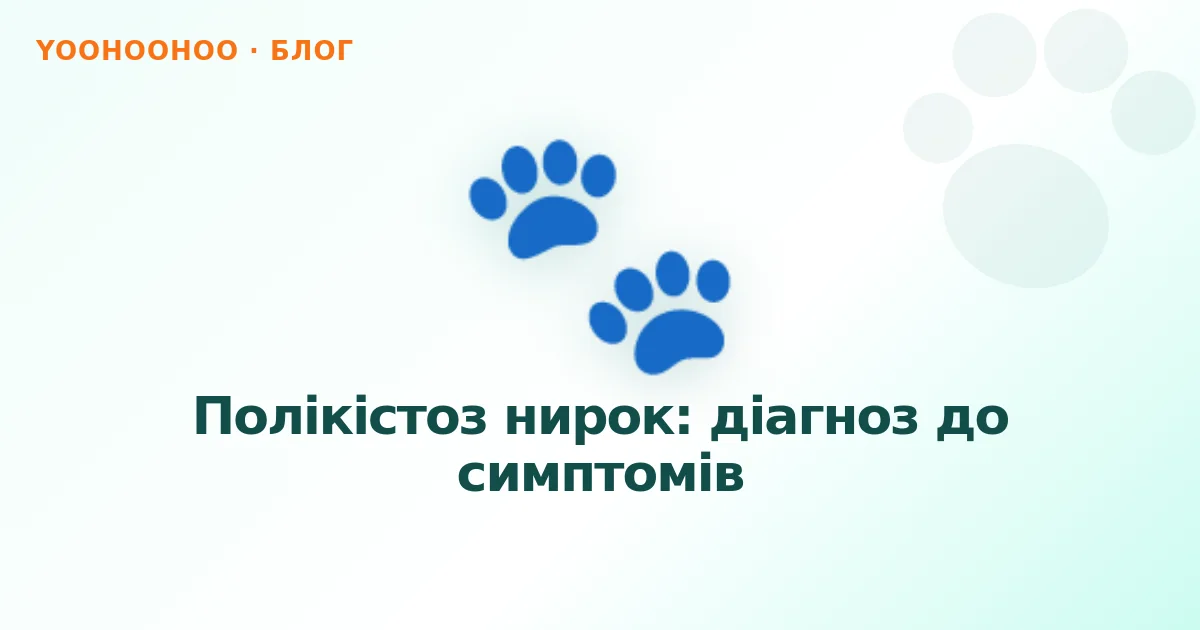 Полікістоз нирок: діагноз до симптомів