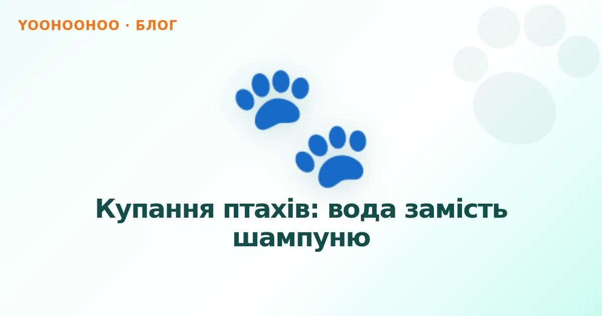 Купання птахів: вода замість шампуню