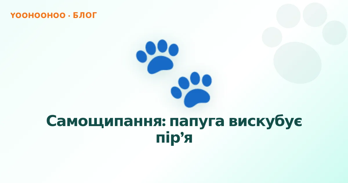 Самощипання: папуга вискубує пір’я