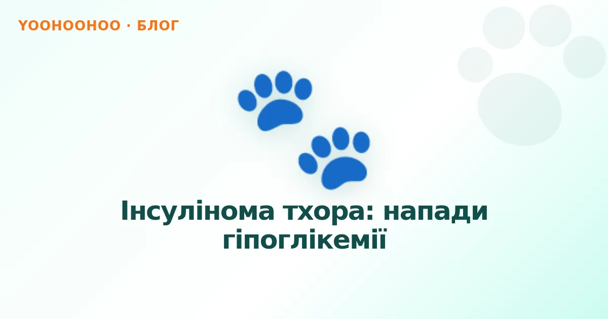 Інсулінома тхора: напади гіпоглікемії