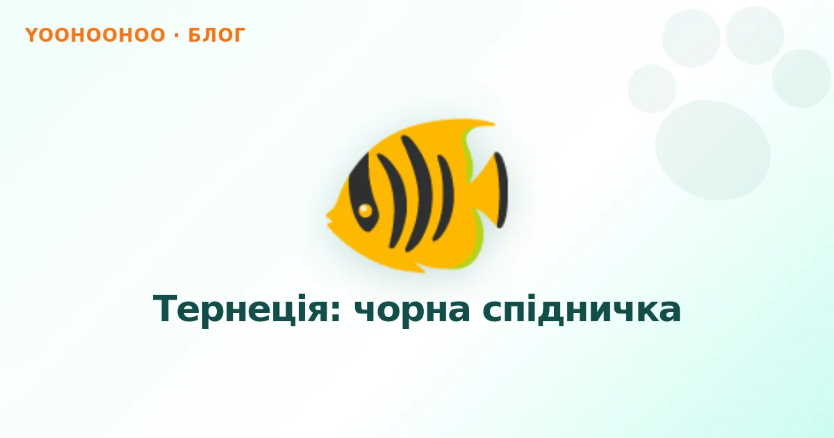 Тернеція: чорна спідничка
